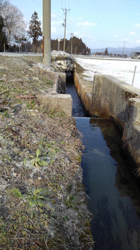 今日は啓蟄・3日間の一般質問
