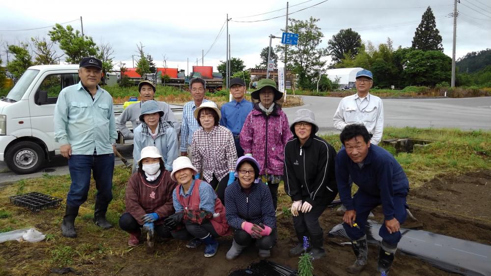 花壇の花植え作業