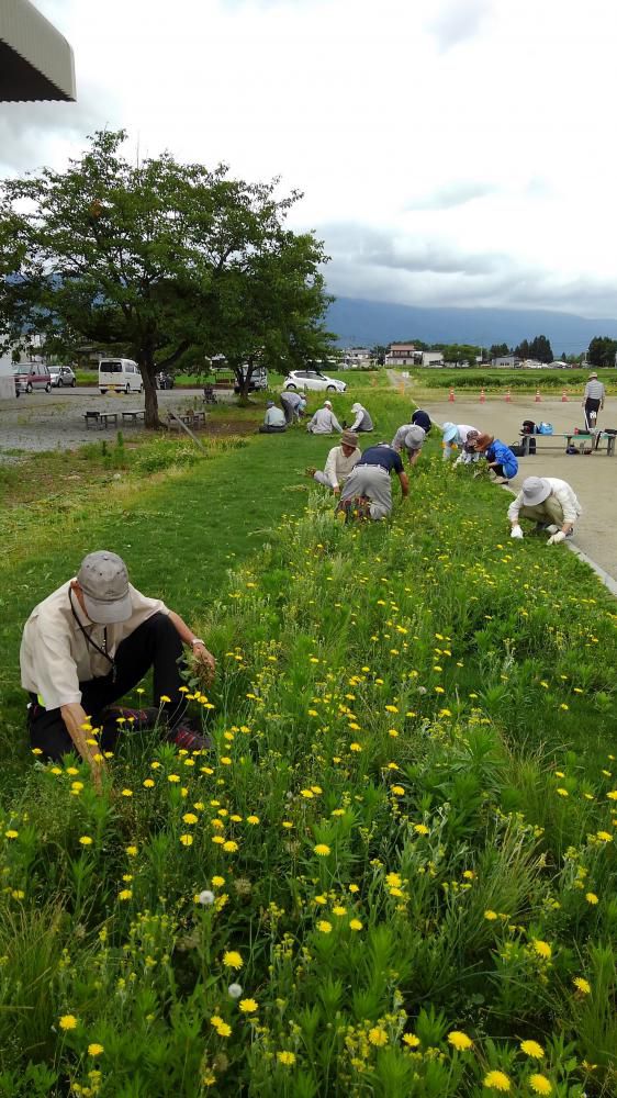 ペタンク協会でも奉仕活動