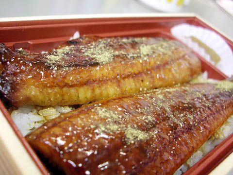 老舗の魚屋「鈴徳」の『魚屋のうな重』