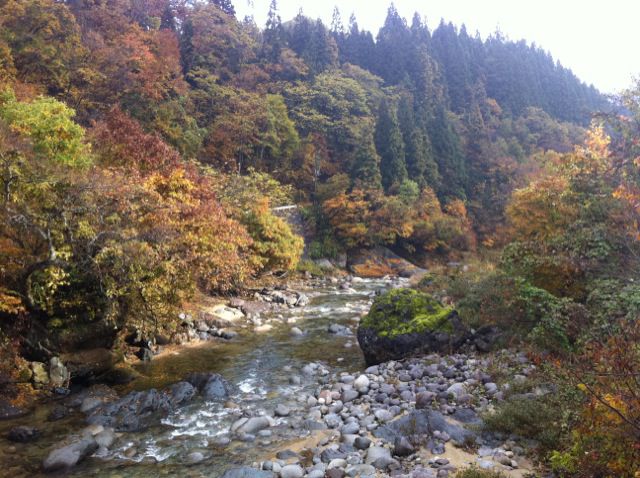 朝日町、朝日川の紅葉