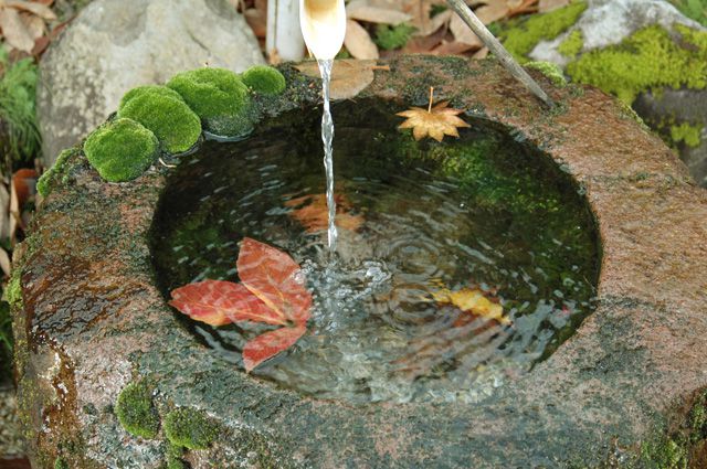 清流庵の《新豆祭》もうすぐです!