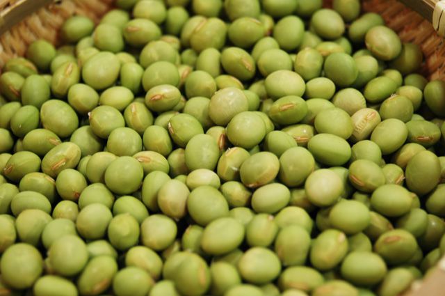 清流庵の《新豆祭》とは?