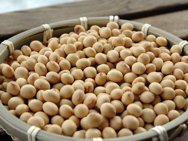 【新豆祭】ありがとうございました!