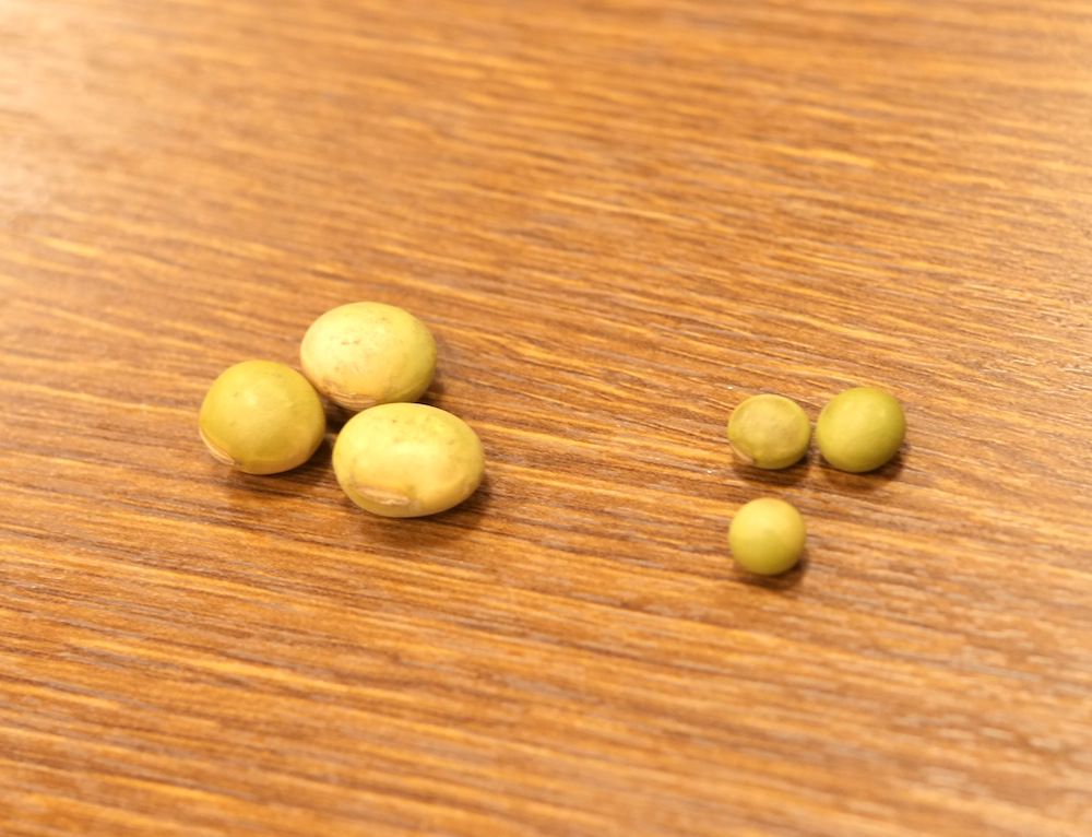 秘伝黒神ざる豆腐~秘伝豆×青大豆黒神