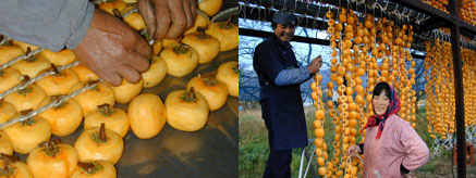 上山北中学校、漆山干柿勉強会　--comment