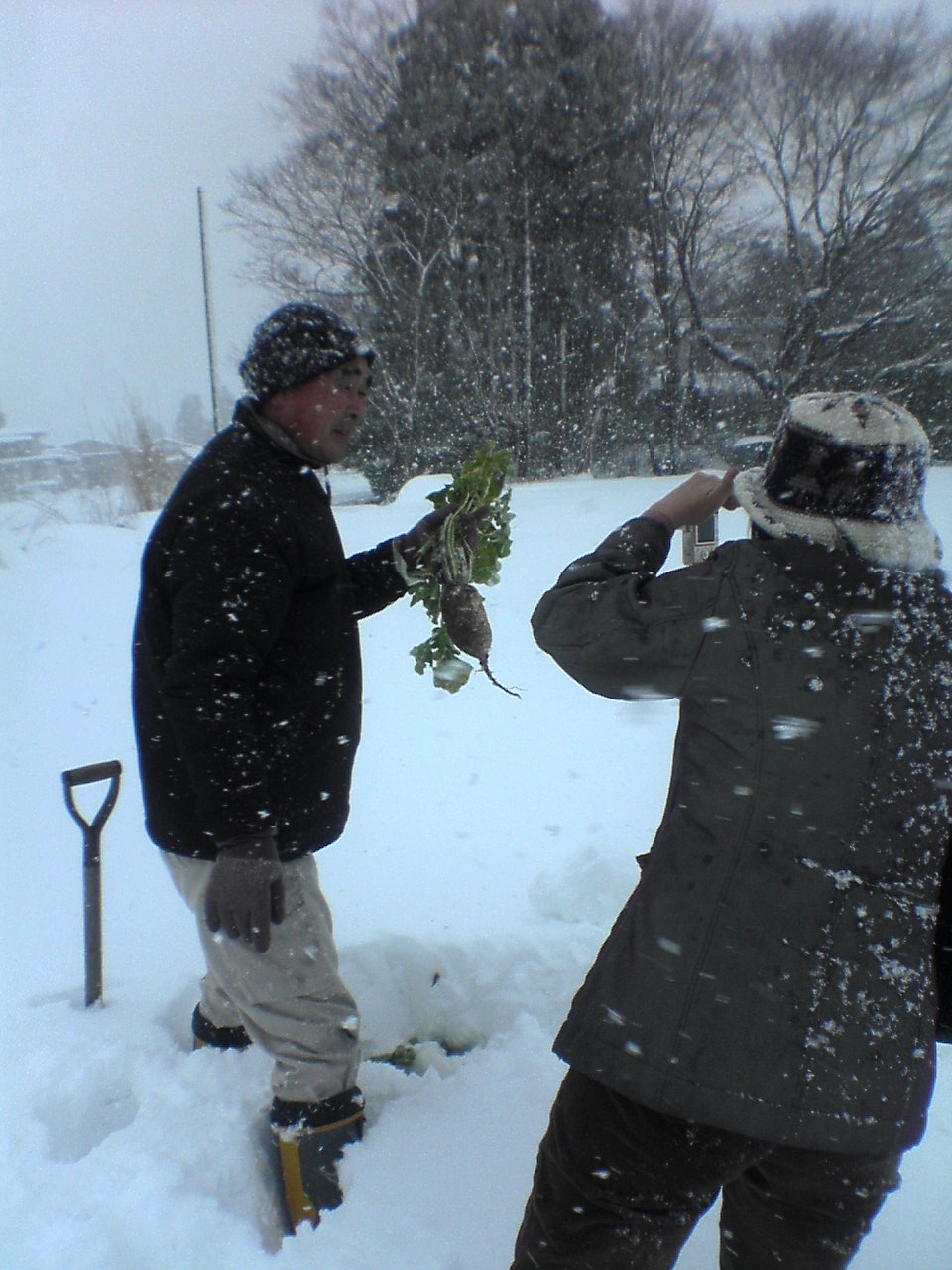 置賜会員紹介5 横澤芳一さん(長井市)