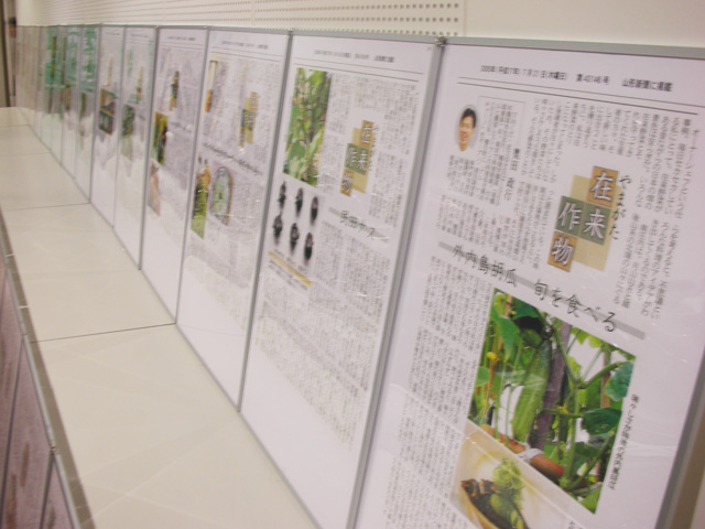 山形新聞の在来作物に関する記事たち