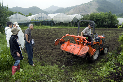 そば畑をトラクターで耕す。