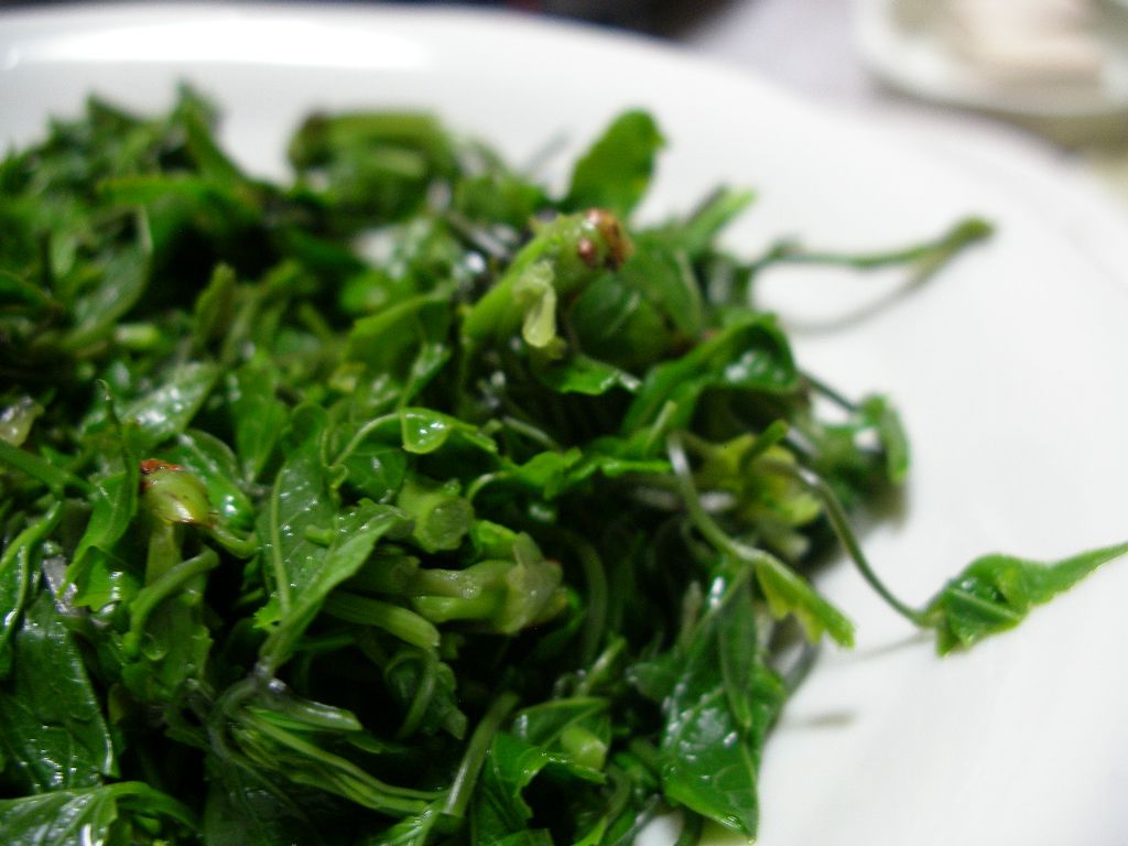 木の芽(あけびの芽)のおひたし