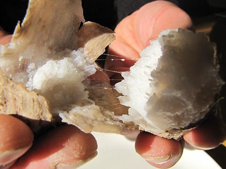 第3回「やまがたの食卓」交流会を開催しました