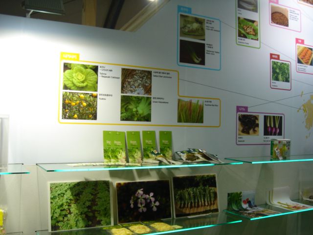 AsioGusto 第一回 アジア食の祭典