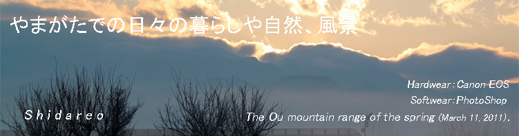ޤǤ餷