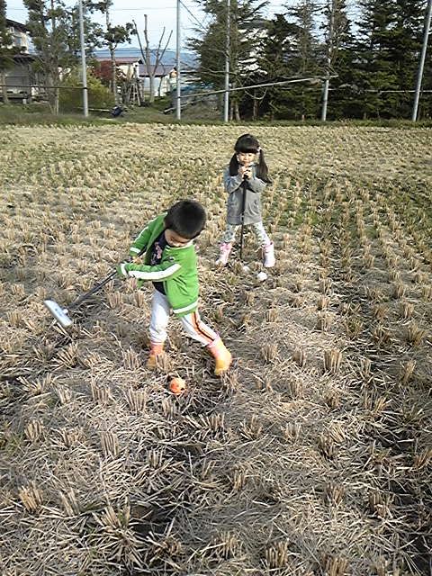 １２月入り～