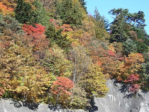 錦秋の「西吾妻」