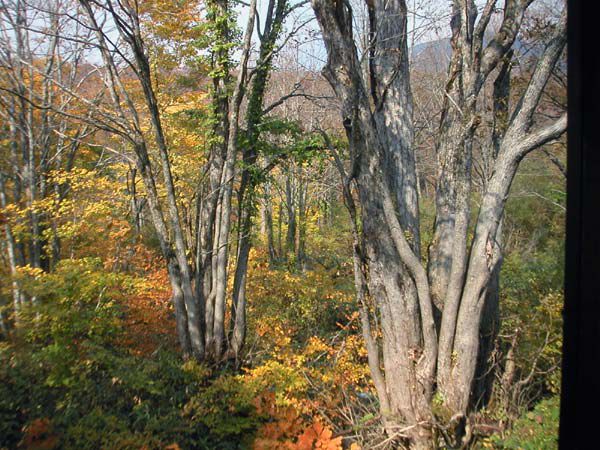 紅葉散策・・月山編