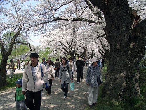 もうひとつおまけに