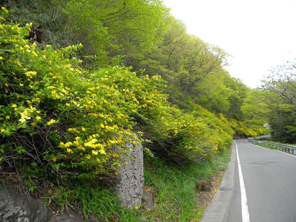 花街道　　その１