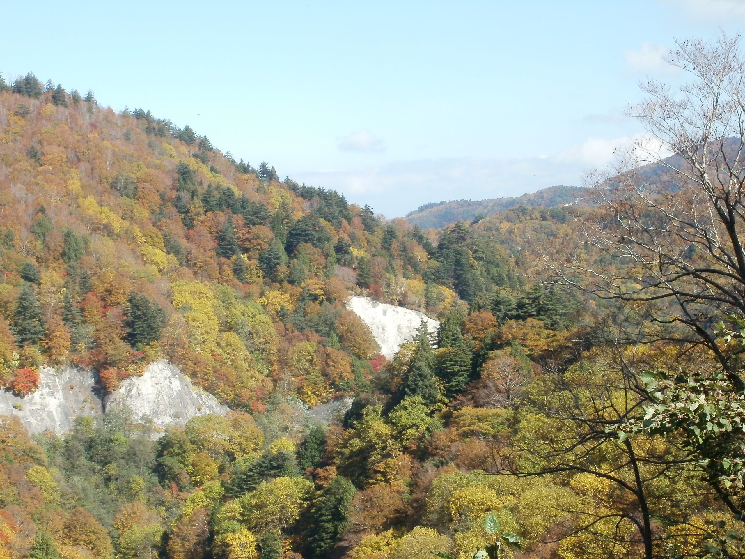 紅葉まっさかり！