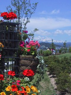 花咲かフェアin寒河江