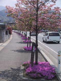 芸工大方面