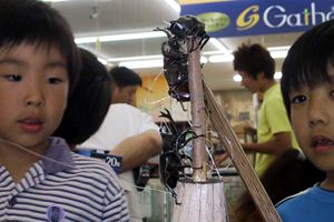 残った、残った!!