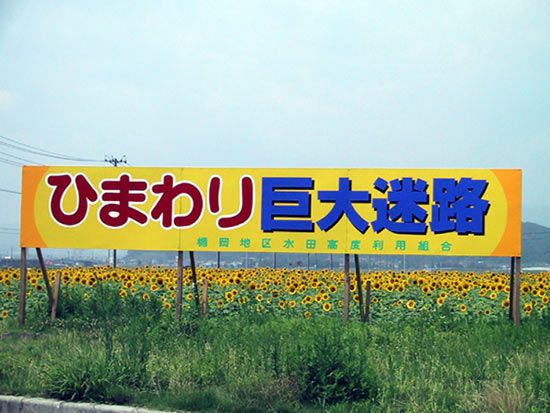 巨大迷路?!