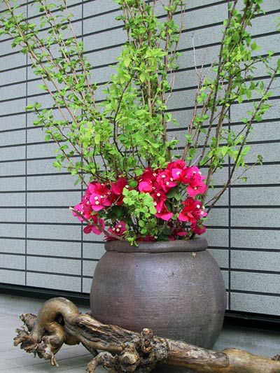シンプルに!