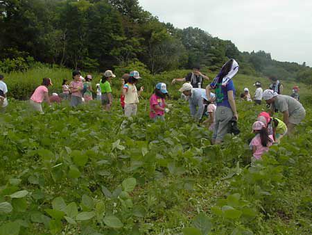 芸術村あすなろ農業体験