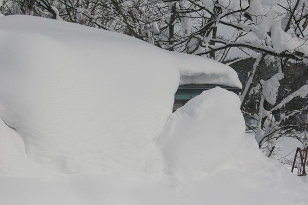 除雪と発熱