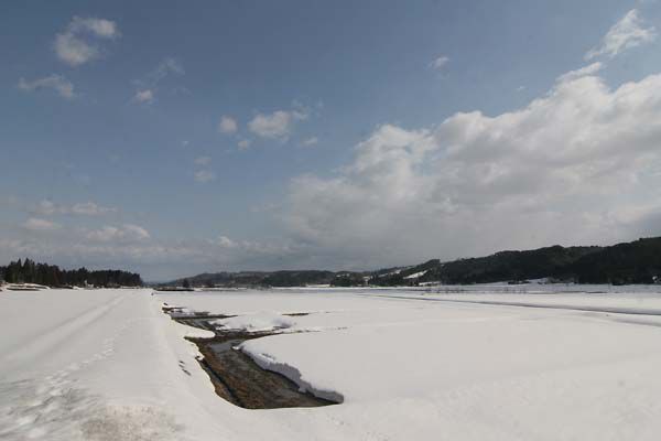 田んぼの様子～苗代雪どけ