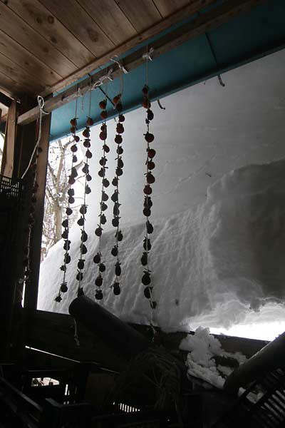 雪、現在80cmほど