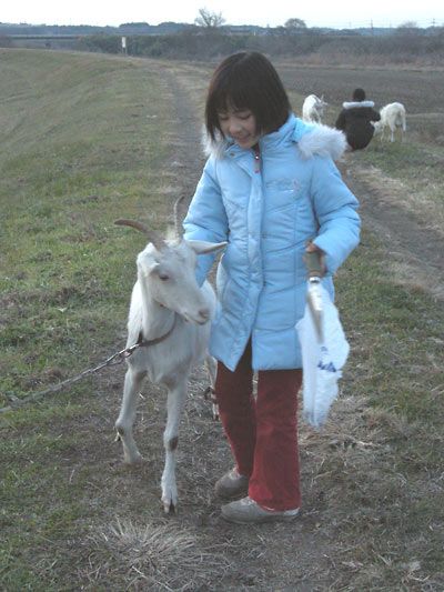 正月の関東遠征ご報告