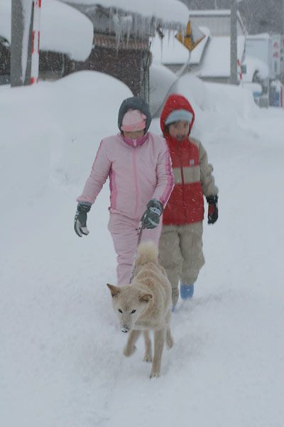 吹雪