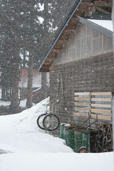 ささめ雪