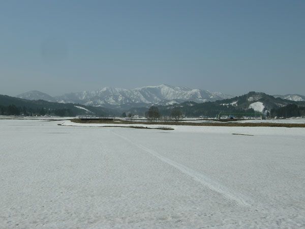 玉庭の雪