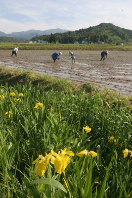 2010 田植え会のご報告　その２