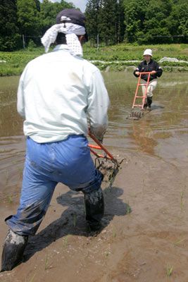 田んぼの除草～田車の巻