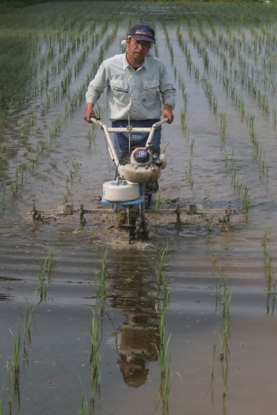 田んぼの除草～あめんぼ号の巻