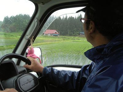 大雨～田んぼ編