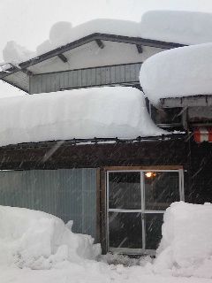 雪積もっています