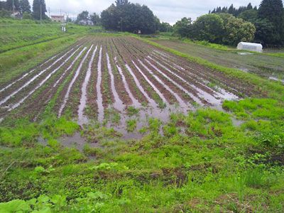 大雨