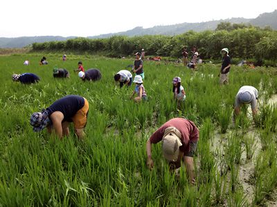 あすなろ農業体験  初日