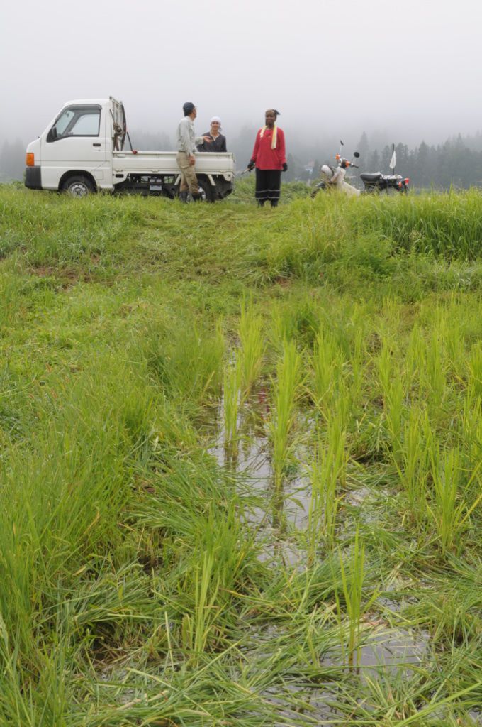 浦田家farmstay週間 アジア学院編