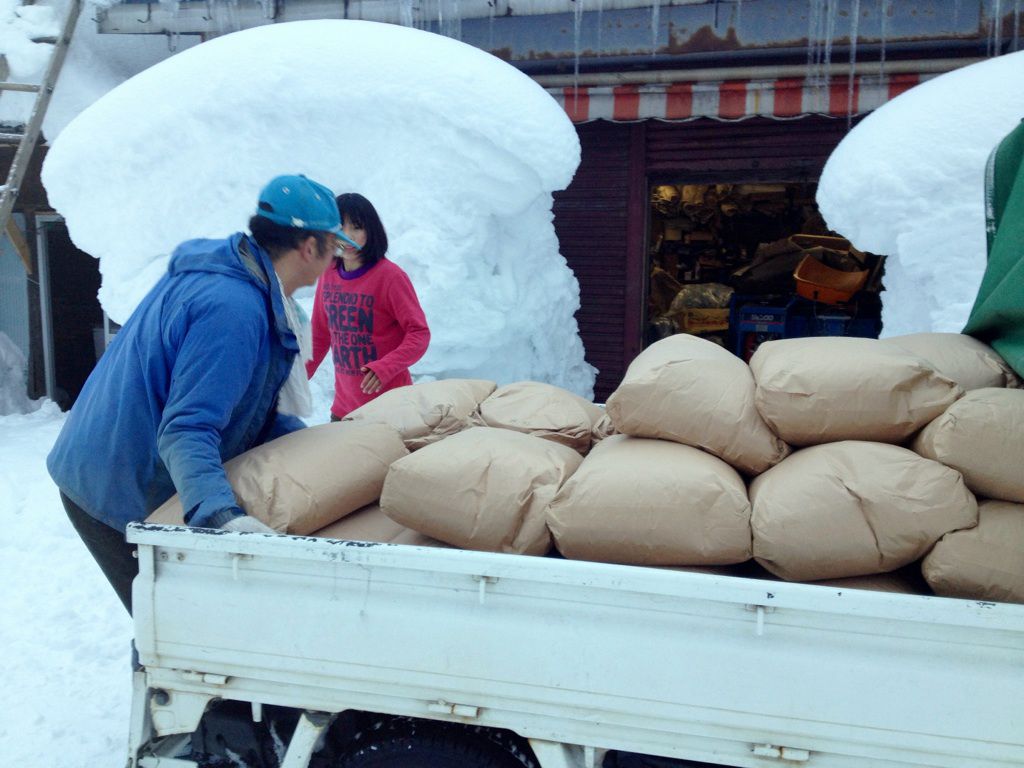 雪の合間に