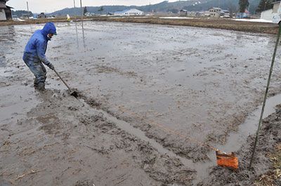 苗代づくり