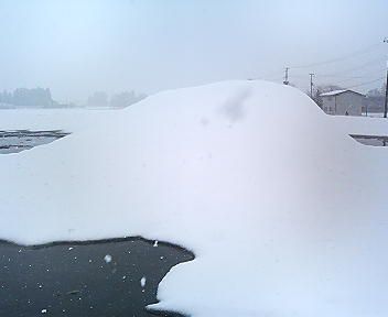 降りだした雪ですが～