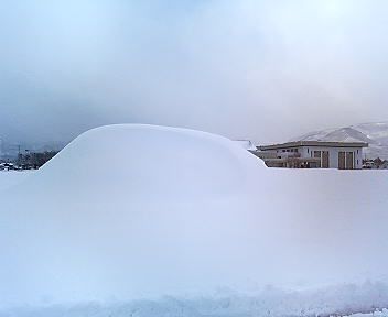 大雪が気になり・・・。