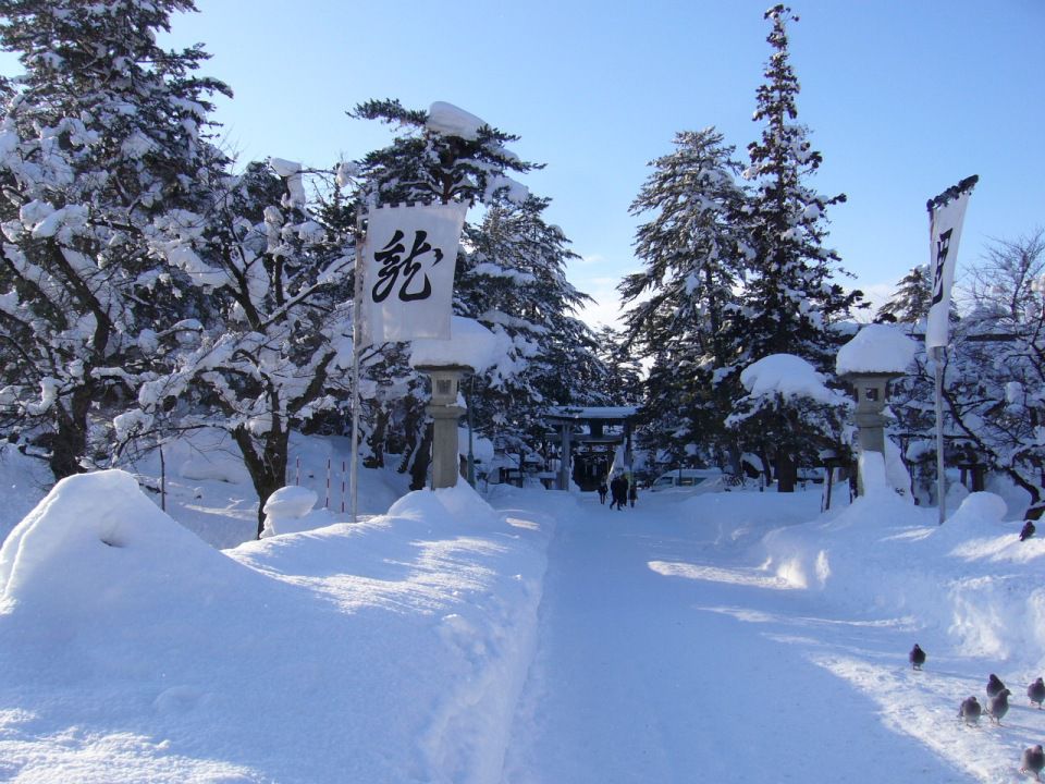 〔平成20年の情報〕待望の雪が積もりました！