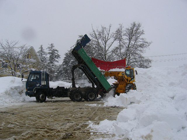 〔平成20年の情報〕雪の巨大迷路！復活か！